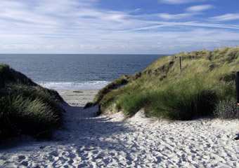 Insel Rügen - Strand und Dünen