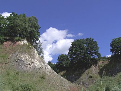 Kalkgrube Lieth - Geotop